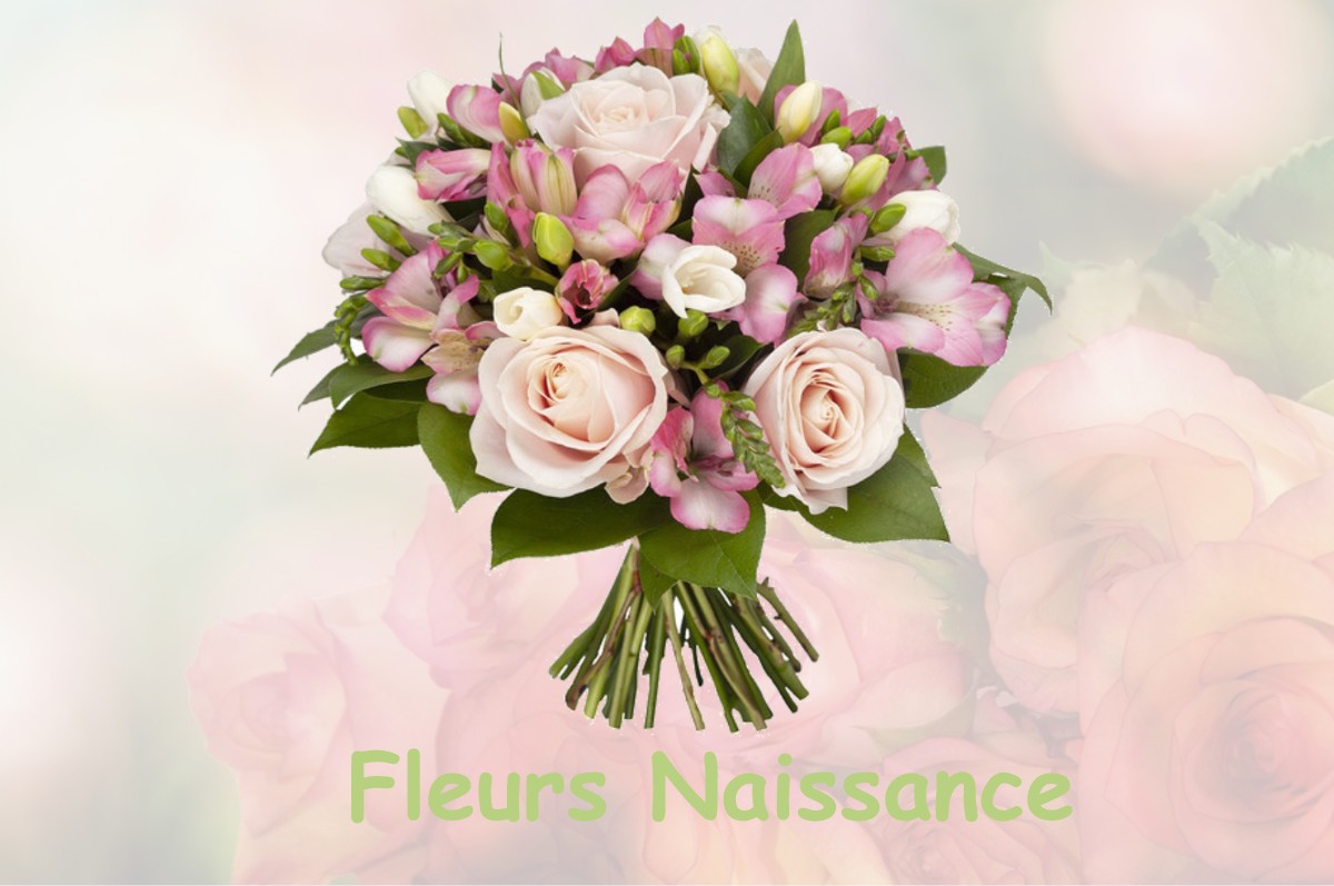 fleurs naissance SAINT-LEGER-LA-MONTAGNE
