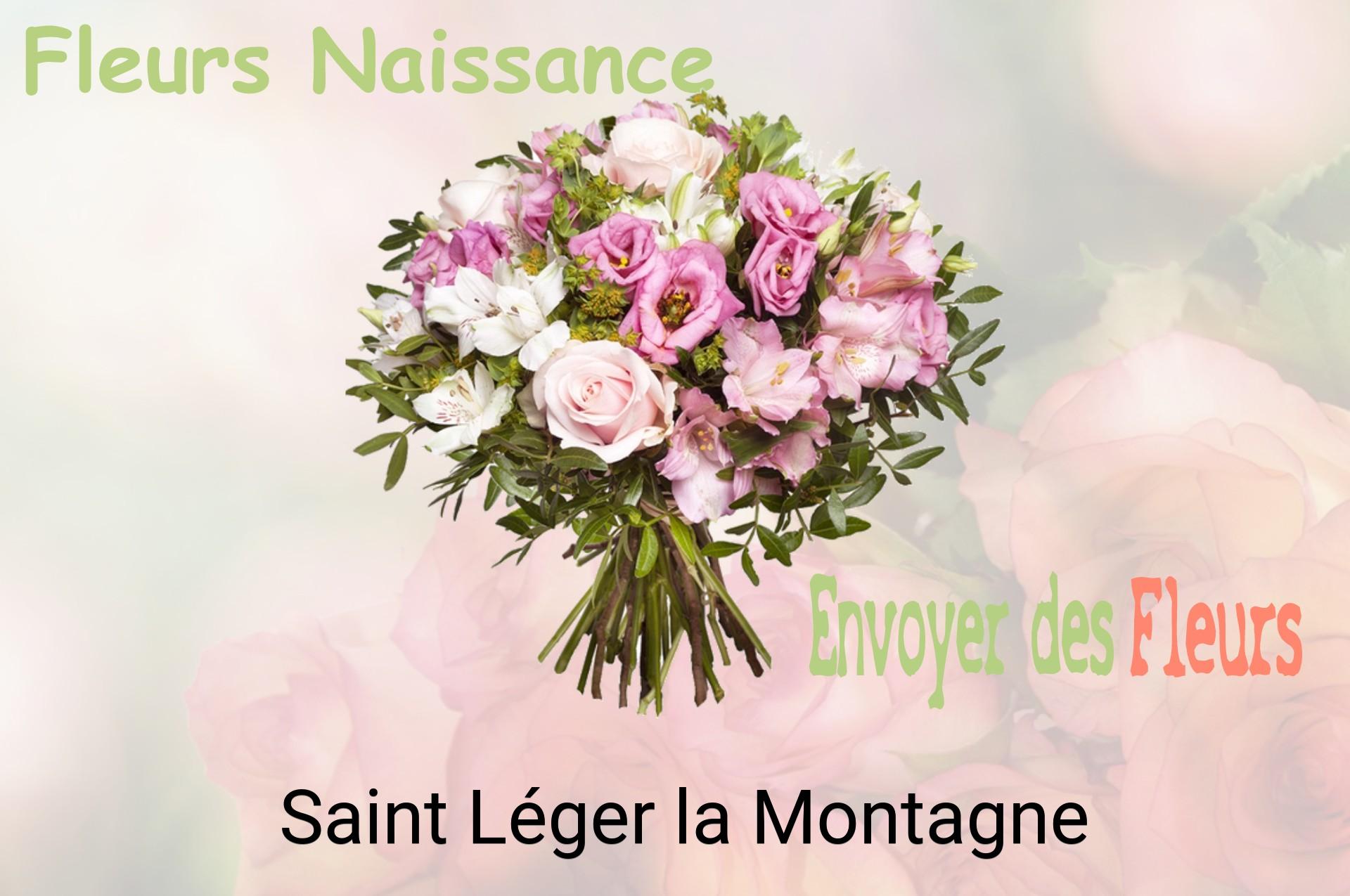 Bouquet de fleurs de naissance livré à Saint-Léger-la-Montagne